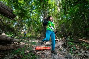 BIB: 
                            <button type="button" onclick="openModal(19392780)" class="btn btn-primary btn-sm float-right btn-popup" data-toggle="modal" data-target=".modal-high-quality">
                        <i class="fas fa-shopping-cart"></i> Add to Cart
                    </button>
                                            <button type="button" onclick="isThisMe(19392780, true)" class="btn btn-success btn-sm float-right btn-popup btn-isme hidden" data-toggle="tooltip" data-placement="bottom" title="นี่คือรูปของคุณใช่ไหม คลิกที่นี่เพื่อเอาเข้าอัลบั้ม">
                        <i class="fas fa-plus"></i> Add to album
                    </button>
                    <button type="button" onclick="isThisMe(19392780, false)" class="btn btn-warning btn-sm float-right btn-popup btn-isnotme hidden">
                        <i class="fas fa-ban"></i> Remove from album
                    </button>